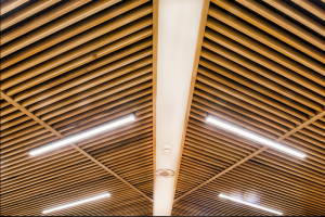 Disable Veterans Conference Ceiling