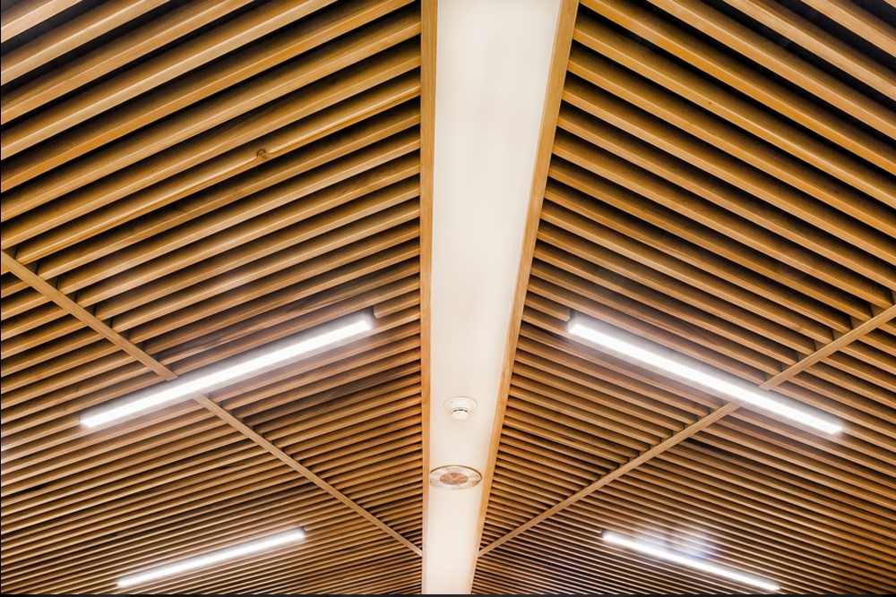 Disable Veterans Conference Ceiling