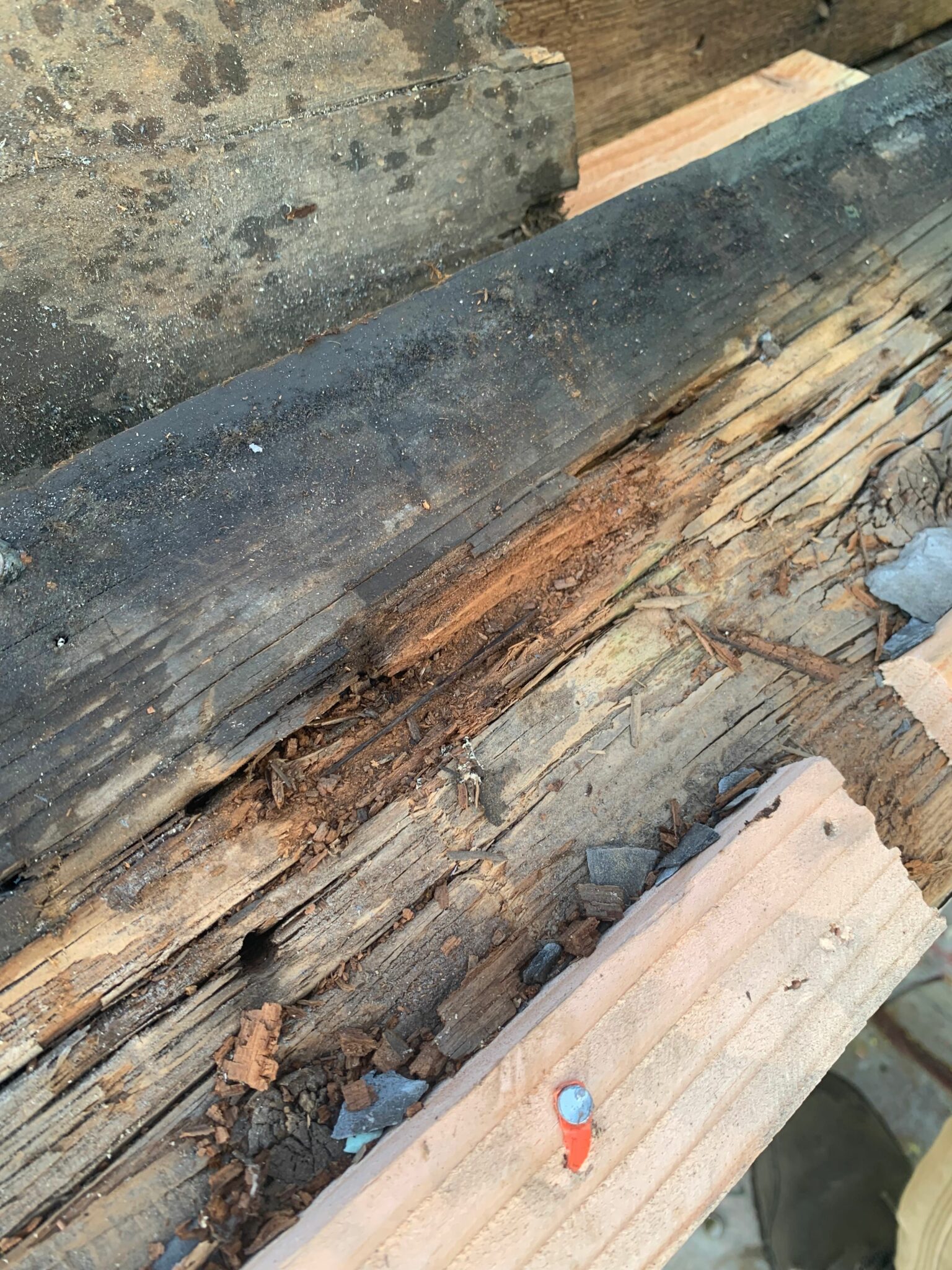 Historic Slate Roof Restoration | Encore Sustainable Architects