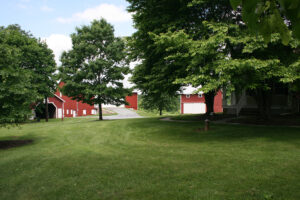 Encore-Sustainable-Architects-Waters-House-Outbuildings