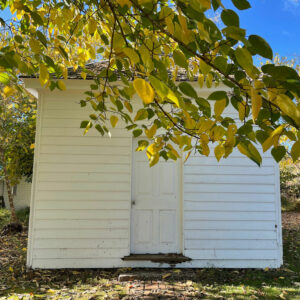 Encore-Sustainable-Architects-Poplar-Hill-Mansion-on His-Lordship-Kindness-Wash-house