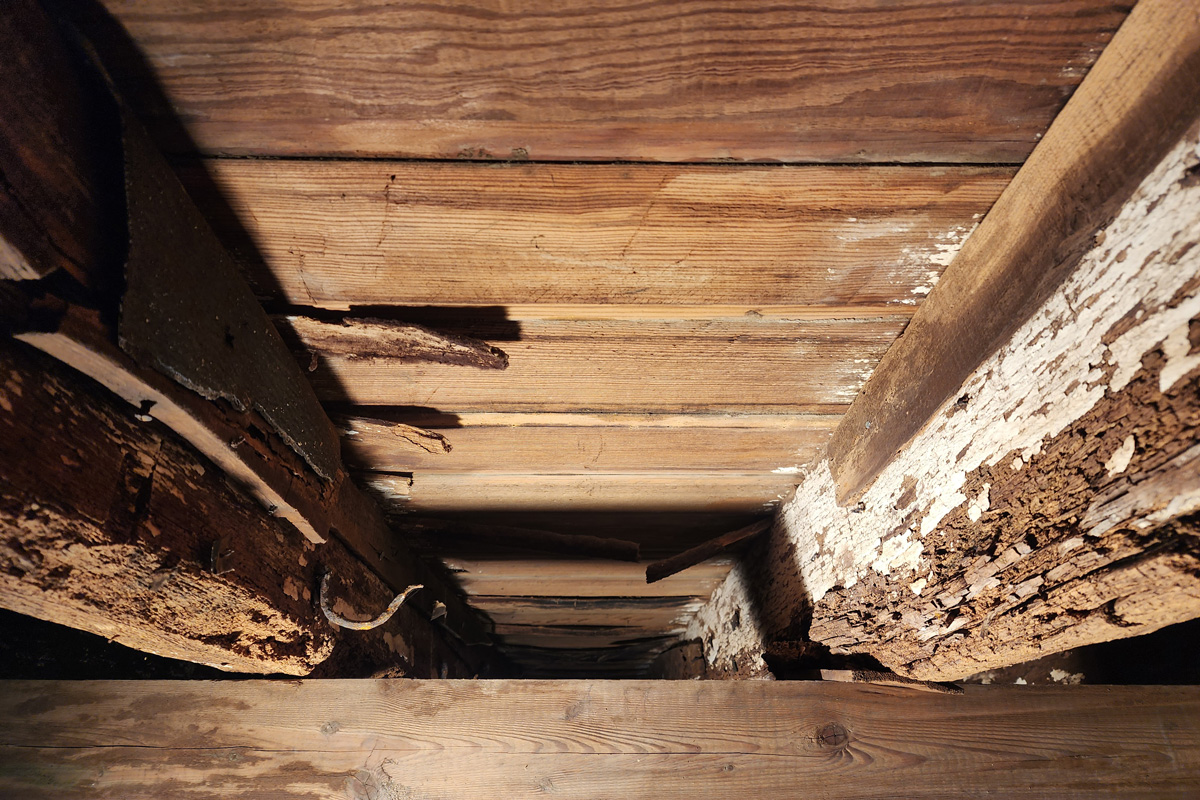 Encore-Sustainable-Architects-Poplar-Grove-Rotten--Joists Encore-Sustainable-Architects-Poplar-Grove-Rotten-Joists