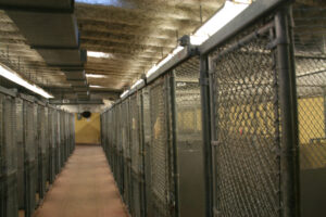 Encore-Sustainable-Architects-CASA-Rockville-Cages